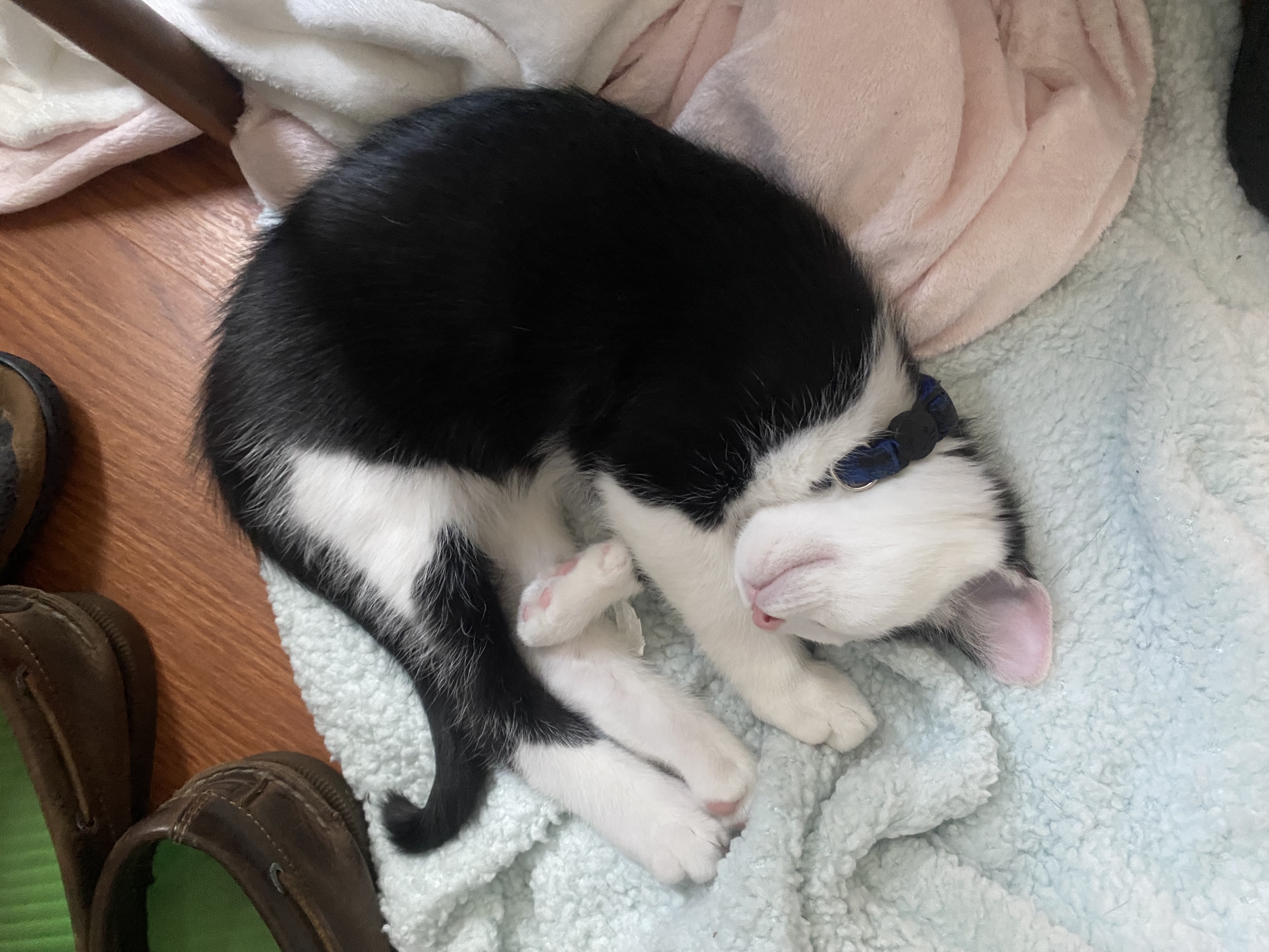 Gary being a goofball